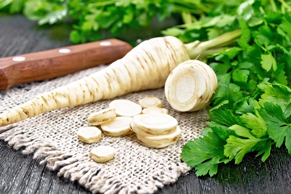 parsley root whole and chopped with green tops on burlap napkin and knife on wooden board background - Сациви из баклажанов по-грузински