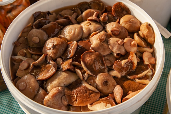 pickled boletus mushrooms in a plastic bucket at the russian fair altai salted mushrooms maslyata - Суп из свежих грибов, постный стол