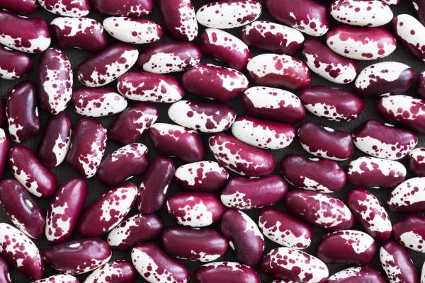 red mottled beans - Фасоль пёстрая отварная с пряностями