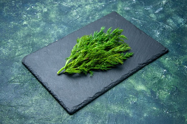 side view of fresh dill bundle on black cutting board on green black mix colors background with free space - Рулет с укропом