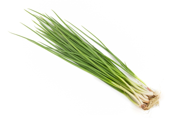 spring onion green shallot or alliumcepa isolated on white - Салат «Витаминный» с крапивой