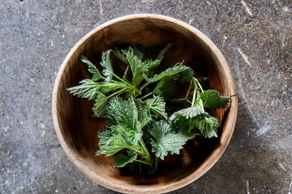 top view of fresh stinging nettle leaves in a bowl on a gray table - Крапивный соус 