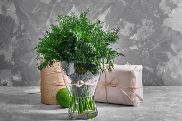 a bunch of fresh dill in glass on a stone surface useful and useful dill - Борщ с кальмаром