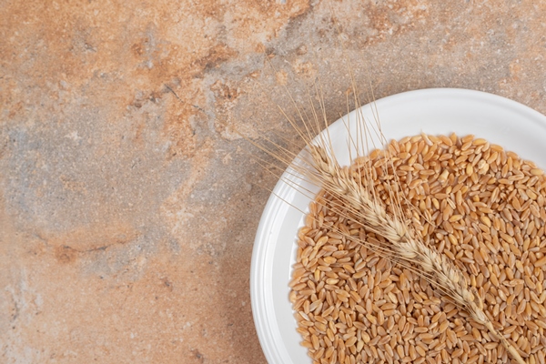 a white plate of grains and wheat on marble background high quality photo - Квас белый окрошечный