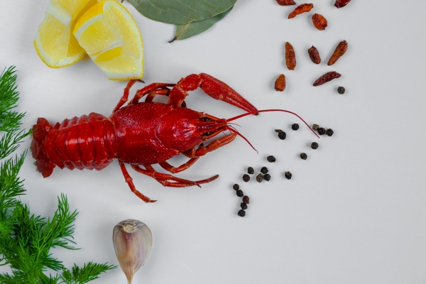 boiled red crayfish or crawfish with red peper lemon dill garlic and bay leaf - Солянка рыбная сборная