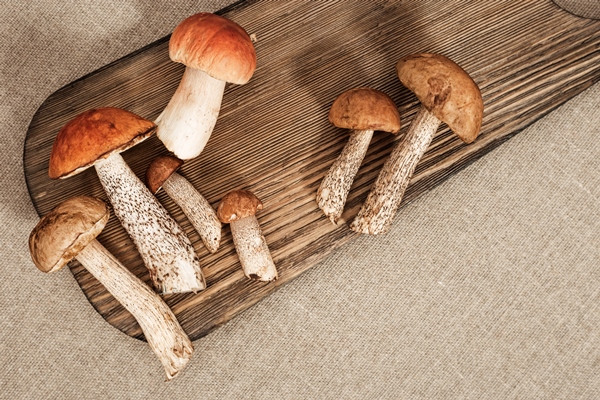 close up forest fresh mushrooms red capped scaber stalk on table - Похлёбка из свежих грибов по-нижегородски
