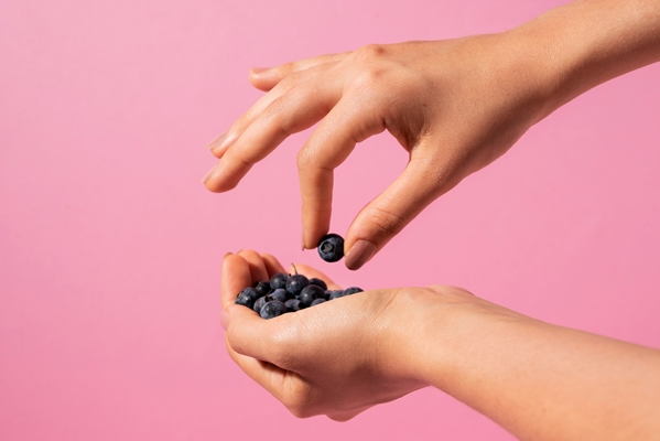 close up hands holding blueberries - Пюре из черники