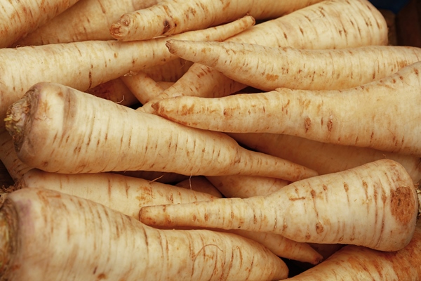 close up many parsnip roots on retail display of fresh food market high angle view - Суп картофельный с горохом