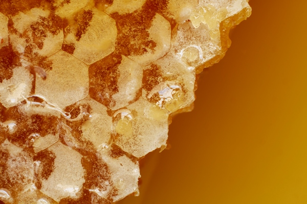 close up of honeycomb with - Берёзовый квас