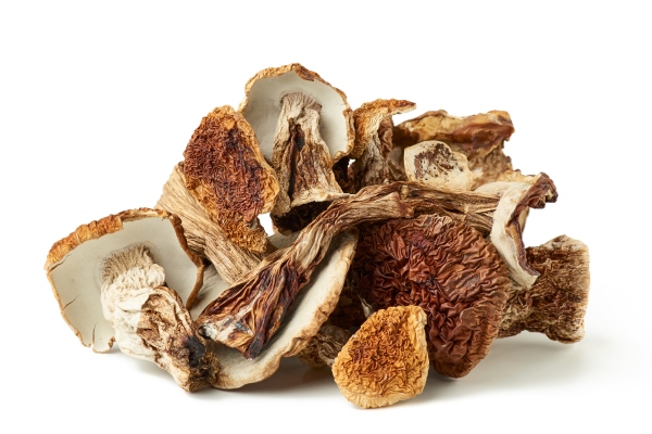 dry forest porcini mushrooms isolated on white - Щи валаамские с сухими грибами