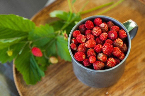 forest strawberries in a metal cup on a wooden tray top view - Простой суп из свежих ягод