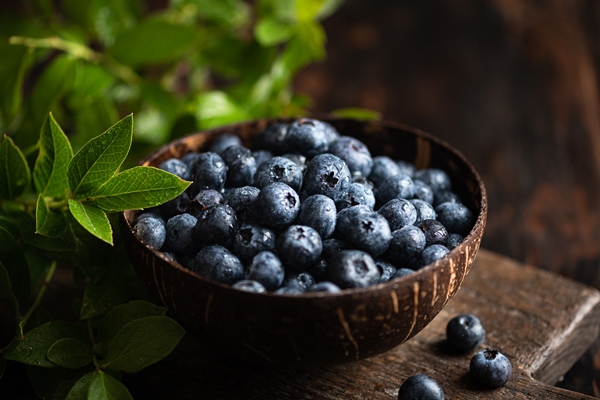 fresh blueberries with leaves - Компот из черники на сиропе из сока