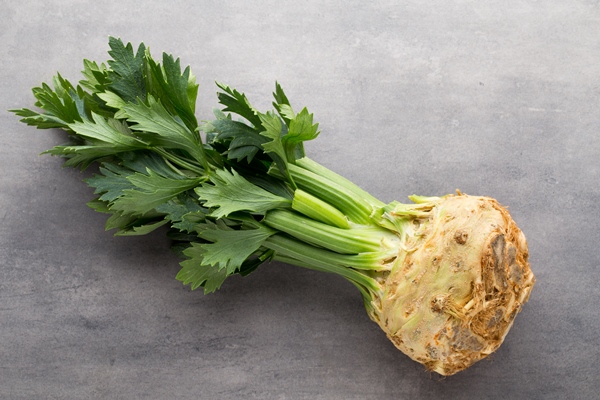 fresh celery root with leaf isolated - Борщ квасной постный