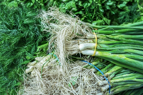fresh green onions and dill are sold at the vegetable market - Свекольник постный
