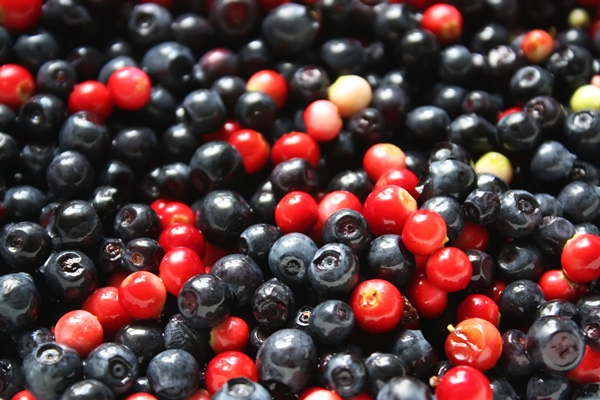 fresh ripe blueberries and cranberries natural berry background - Черничный суп с клёцками