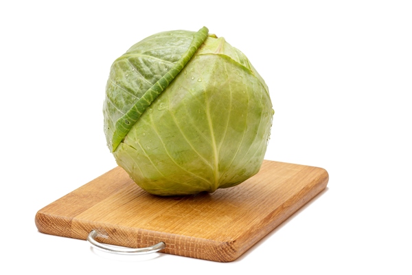 green cabbage head on wooden cutting board with white isolated background ingredients for vegetarian food - Борщ с грибными голубцами, постный стол
