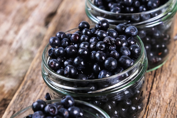 jar of blueberries - Компот из черники и голубики