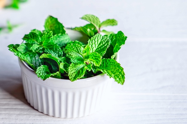 mint leaf or fresh mint herbs in a white bowl on white background 1 - Квас с изюмом и мятой