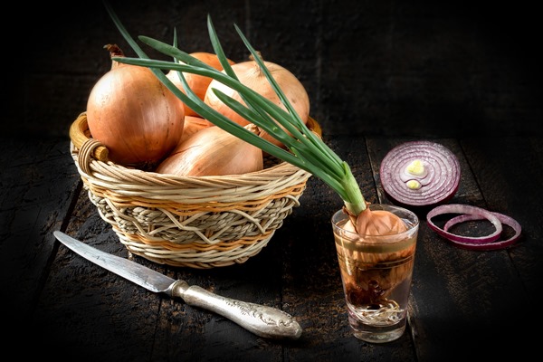 onions in the basket green onions in a glass sliced red onion knife on dark wooden background toned photo - Драники кабачковые с луком и чесноком