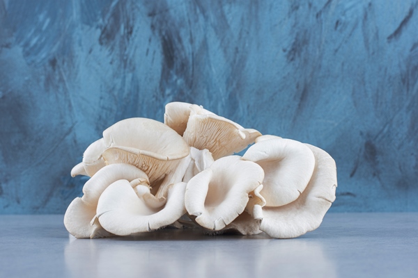 pile of oyster mushroom on grey background - Солёные вешенки (горячий посол)