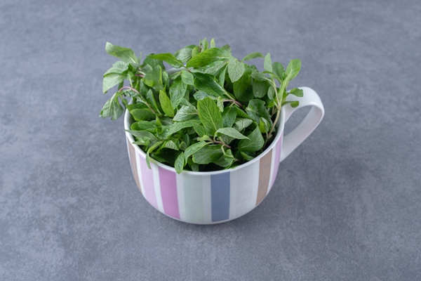 raw mint in a cup on the marble surface - Квас из сухого хлебного кваса с мятой