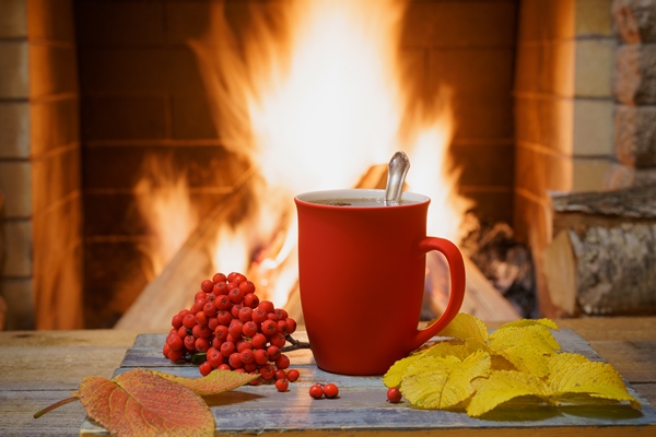 red mug of tea a bunch of mountain ash and yellow autumn leaves near a cozy fireplace - Квас рябиновый шипучий
