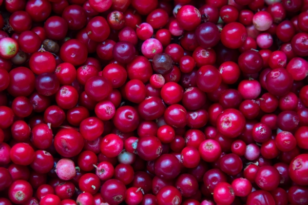 ripe fresh cleanly washed cranberries bright advertisement backdrop - Девичий квас