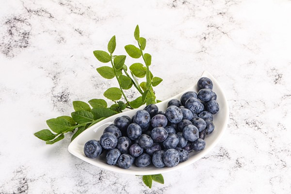 ripe sweet organic blueberry in the bowl - Черничный сок консервированный
