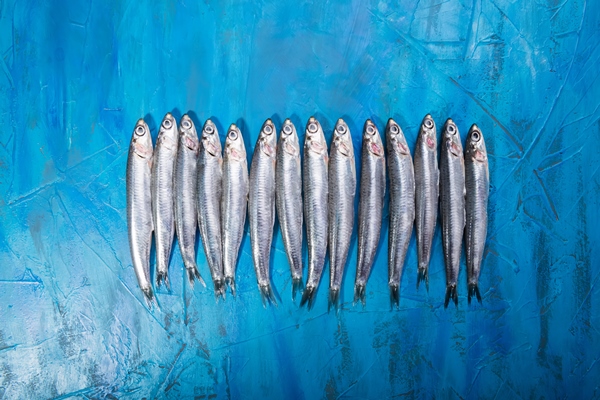 seafood small sea fish anchovies sardines - Уха двойная