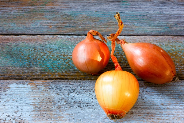 three heads goldish onions on an old rustic table - Солянка овощная