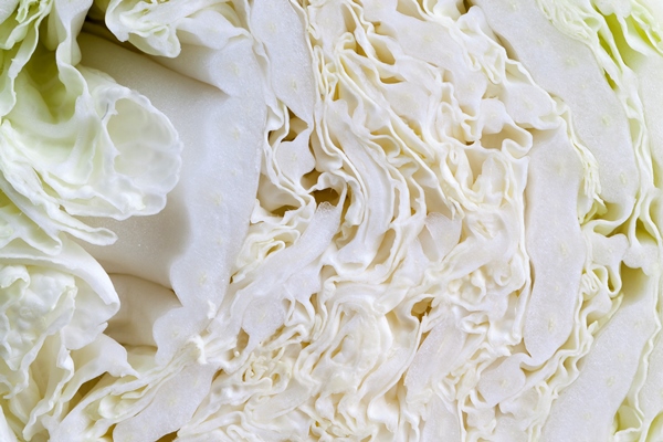 white cabbage cut into pieces cabbage sliced and chopped for cooking 1 - Кислые щи из свежей капусты (старинный рецепт)