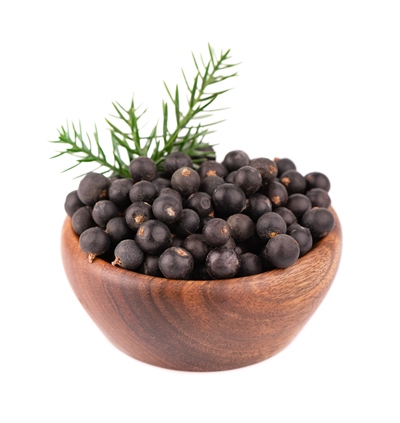 dry juniper berries in wooden bowl isolated common juniper fruits - Можжевеловый сбитень