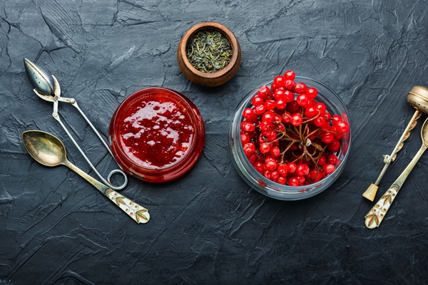 glass jar with jam and fresh viburnum berries - «Холодное» варенье из калины