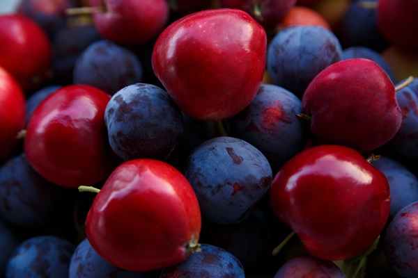 harvest of ripe blue plums and red apples close up - Яблочно-сливовая аджика