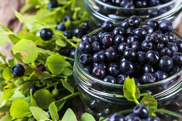 jar of blueberries - «Варенье-пятиминутка» из черники