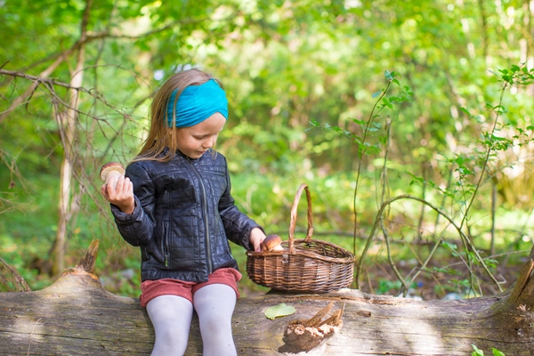 little girl gathering mushrooms in an autumn forest - Грибы в сметане