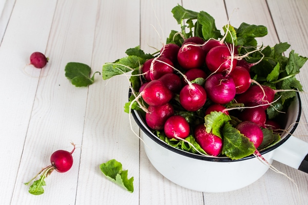 red radishes in bowl on wood table - Салат из редиса и сметаны