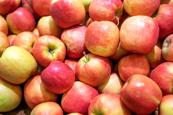the red fresh apples as a background - Замороженные яблоки на зиму