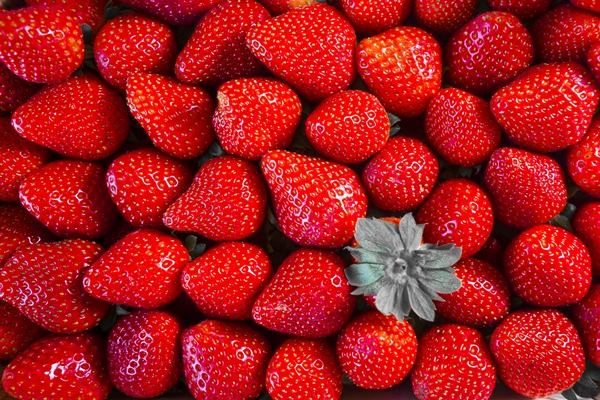 closeup shot of delicious fresh red strawberries - Канапе из персика, киви и клубники