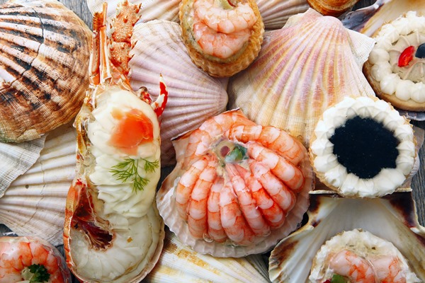 delicious fresh specialties of shellfish 1 - Заливное из морепродуктов