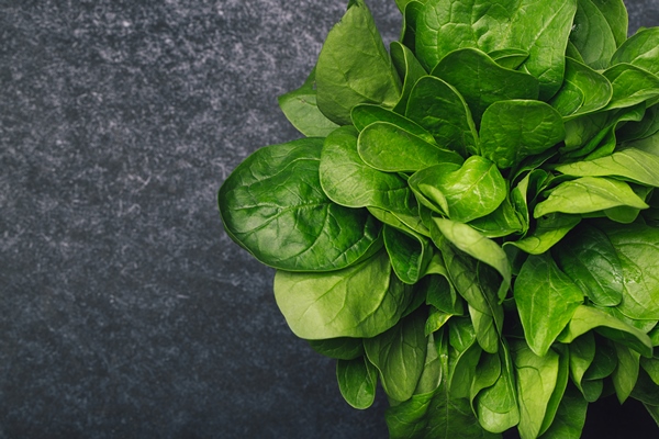 fresh spinach dark background - Пхали из шпината