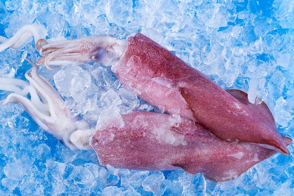 fresh squid on ice in market - Кальмары во фритюре
