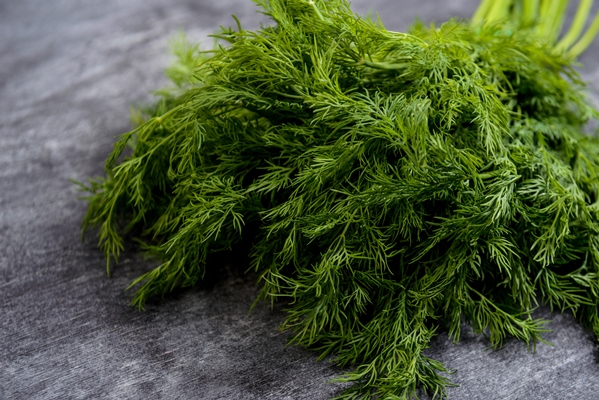 picture of green dill on grey table - Архангельский салат из трески
