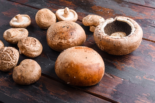 portobello and shiitake mushrooms set on old wooden table - Шампиньоны с авокадо, перцем и пряными травами
