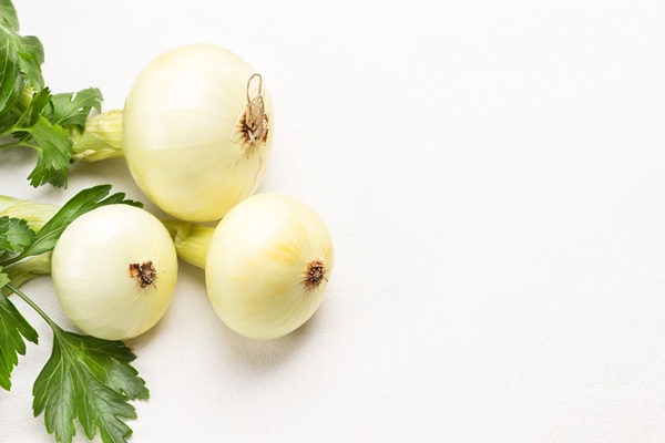 three onions and twig of parsley copy space white background flat lay - Котлеты из сазана, постный стол