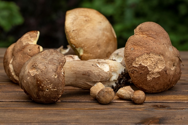 various edible forest mushrooms on a wooden table vegetarian food - Грибной постный плов