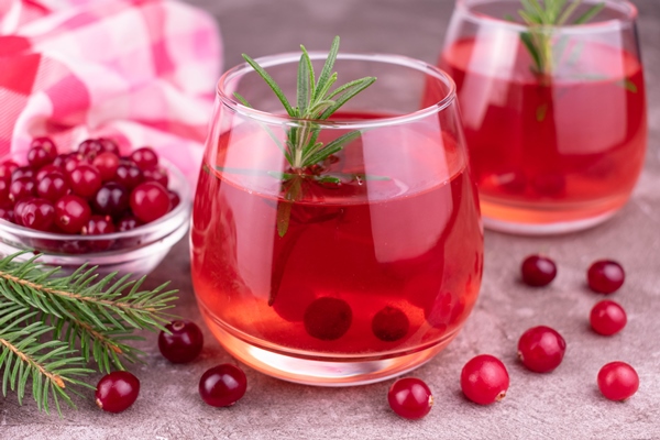cranberry vitamin drink with rosemary - Безалкогольный глинтвейн с фруктово-ягодным соком