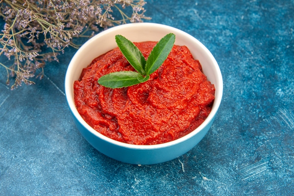 front view fresh tomato paste on blue color salad red tree vegetable food ripe - Бозбаш