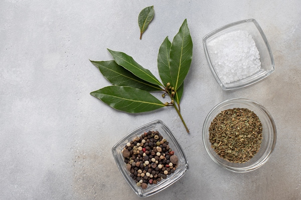 set of pepper herbs salt and laurel ingredients for cooking gray surface top view - Картофельный суп с мясом