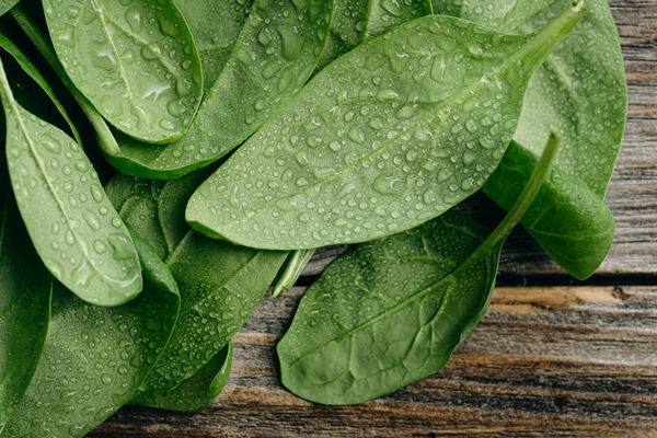 wet fresh green baby spinach leaves on a wooden background 1 - Бульон с кореньями и рисом